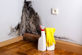 Professional Mold Prevention & Removal  in Old Stine, CA